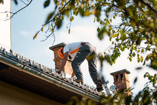 Roof Gutter Cleaning in Sugar Grove, IL